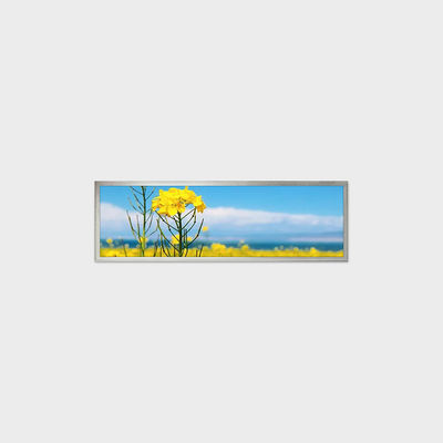 Giải pháp Màn hình LCD TFT 19.4 inch với độ phân giải 1920*510 Hỗ trợ Tùy chỉnh Ứng dụng Nhà thông minh