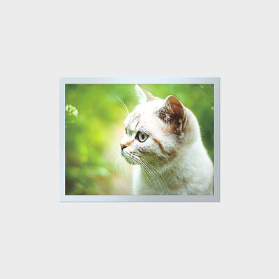 Màn hình LCD có tuổi thọ cao 15 inch TFT độ sáng cao cho bảng dụng cụ công nghiệp