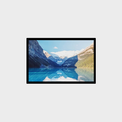 10.1 Inch High Brightness LCD Panel 1280*800 LVDS 1200nits LCMA-RX0101GI02-C120