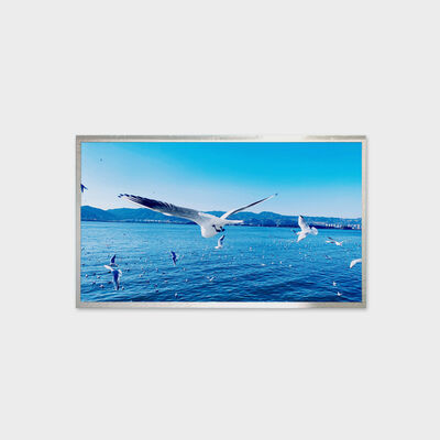 13.3 Inch TFT LCD Solution 800nits Brightness Solution Wide Temperature Display