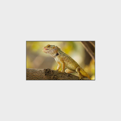 2000nits Độ sáng cao 3840 * 2160 màn hình LCD 98 inch cho hiệu suất tối ưu