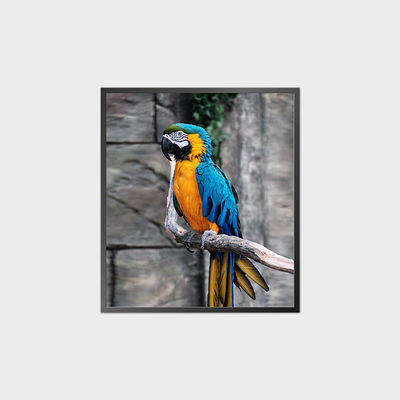 Màn hình LCD hình vuông độ tương phản cao 35.6 inch 950*1080 500nit Với hệ thống Android