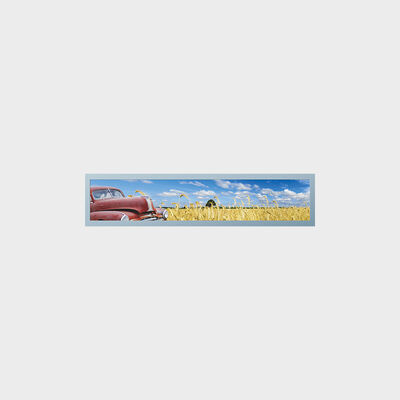 Ứng dụng vận chuyển tàu điện ngầm hiển thị màn hình LCD loại thanh 28 inch có tùy chỉnh