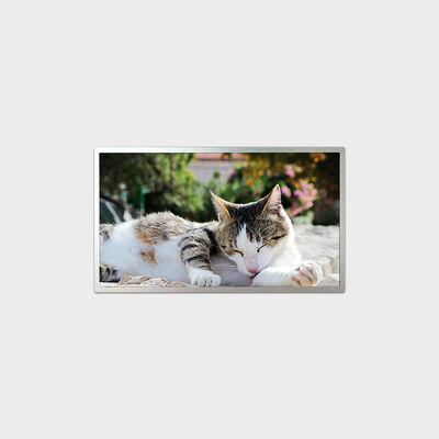 Màn hình LCD TFT 18,5 inch Giải pháp dòng E-LED với độ sáng 1200nits