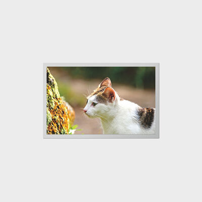 Màn hình TFT 12,1 inch với màn hình LCD tiêu thụ điện năng thấp dành cho thiết bị y tế cầm tay