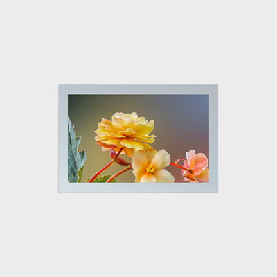 Màn hình LCD TFT loại vuông 27 inch với giải pháp cắt độ phân giải 1847 * 1154