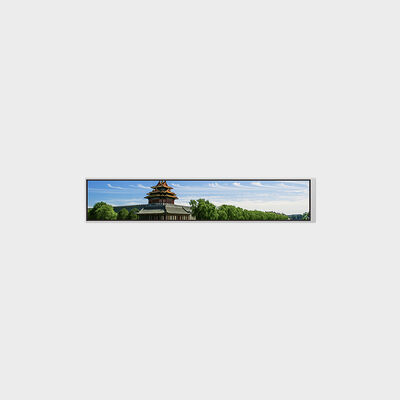 Màn hình LCD loại thanh 6,9 inch với độ phân giải 280 * 1424 Hỗ trợ tùy chỉnh độ sáng