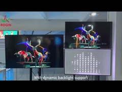Rogin Local Dimming Technical Supporting Introduction (Tạm dịch: Các kỹ thuật hỗ trợ về làm mờ tại địa phương)