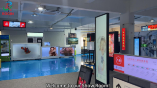 Phòng trưng bày của Rogin-Mô-đun LCD Full-HD cỡ nhỏ và trung bình